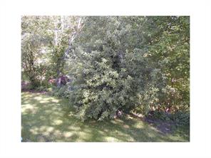 10110 Mark Ave, Irwin, PA 15642 photo 16