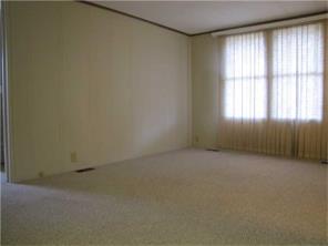 10110 Mark Ave, Irwin, PA 15642 photo 11