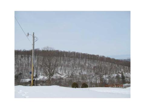 11088 Clear Ridge Rd, Everett, PA 15537 photo 3