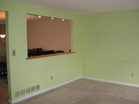4300 Hemlock, PA 15101 photo 4