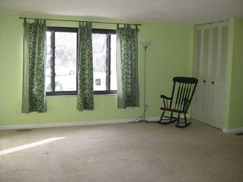 4300 Hemlock, PA 15101 photo 3