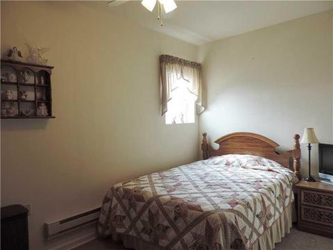155 Route 356, Apollo, PA 15613 photo 25