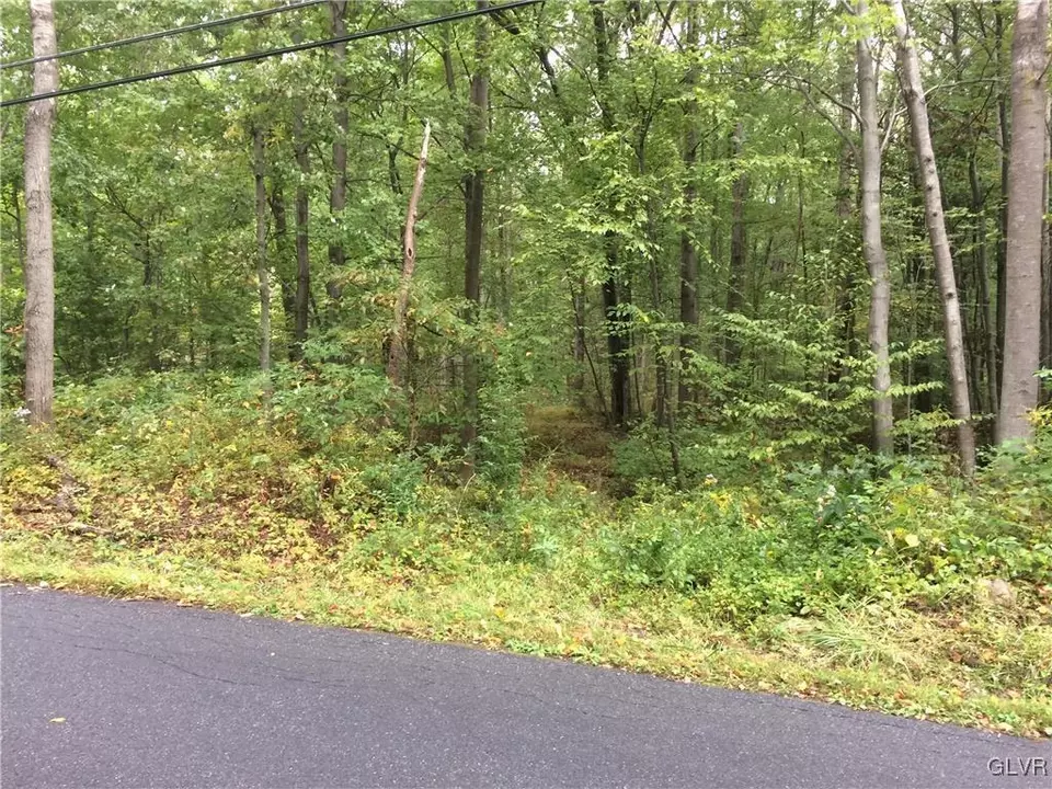  3000 Delps Rd, Moore Twp, PA 18038 photo 1