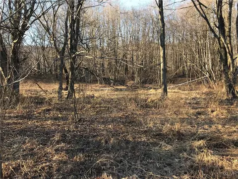 8917 N Loop Rd, Washington Twp, PA 18080 photo 3