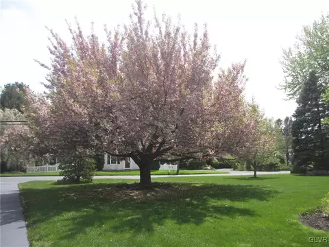 445 E Macada Rd, Bethlehem, PA 18017 photo 41