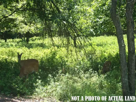 40 Towamensing Trl, Penn Forest Twp, PA 18210