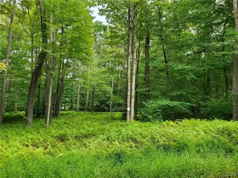 15 Oak Leaf Ln #LOT 15, Tobyhanna Twp, PA 18347