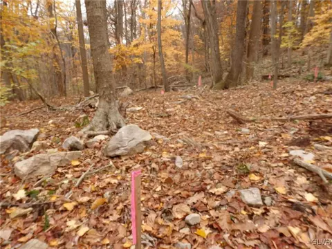 Dogwood Lane, Durham Twp, PA 18077