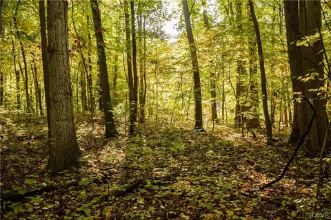 Barbara Drive, Longswamp Twp, PA 18011