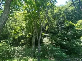 Good Road, Lower Mt Bethel Twp, PA 18013