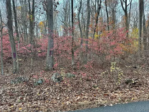 Quarry Road, Springfield Twp, PA 18036