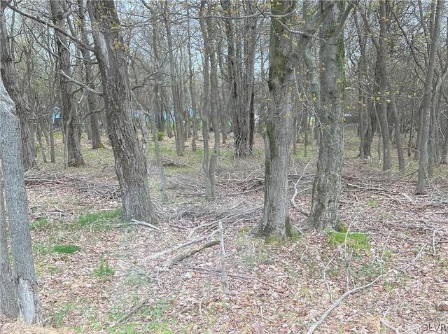 cross street #16, Tobyhanna Twp, PA 18347