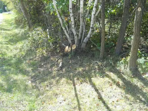 sunset drive LOT 286, Penn Forest Twp, PA 18229