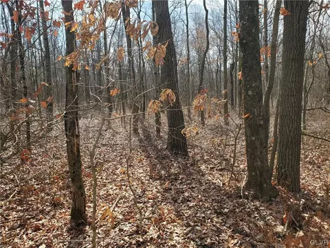Robertson Road, Penn Forest Twp, PA 18229