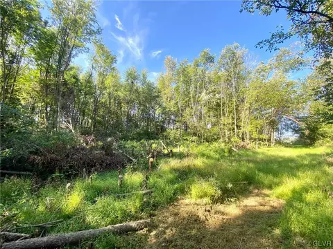 2519 Community Dr, Moore Twp, PA 18014