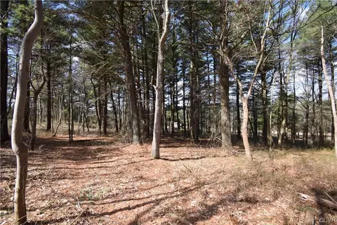Wintergreen Road, Lower Towamensing Tp, PA 18071