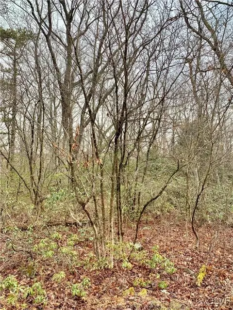 lot L142 Fox Ln, Penn Forest Twp, PA 18229