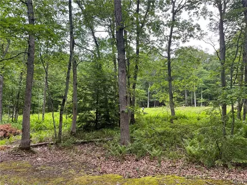 lot H567 Cross Run Rd, Penn Forest Twp, PA 18229