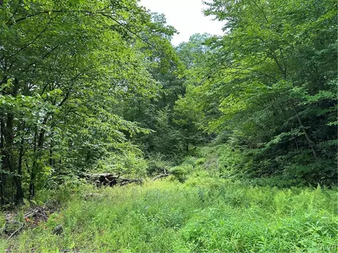 Hauto Highway, Rush Twp, PA 18240