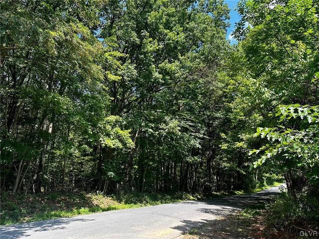 Pine Hollow Drive, Mahoning Twp, PA 18235