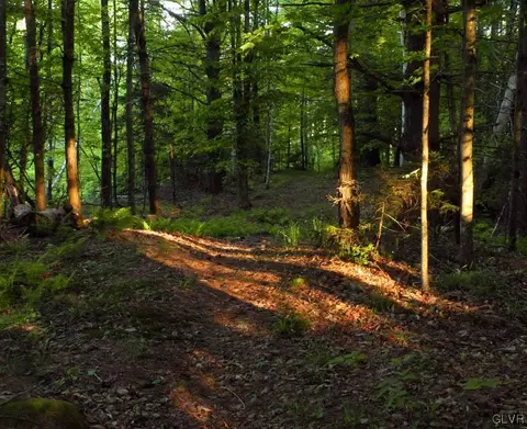rhododendron trail #A12, Penn Forest Twp, PA 18229