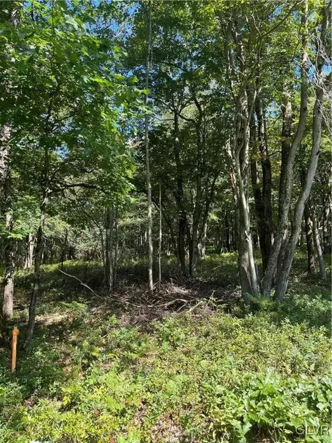 H580 Drakes Dr, Penn Forest Twp, PA 18229