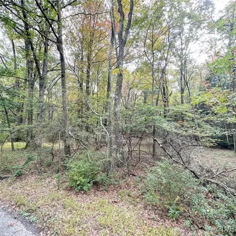 Rosewood Drive, Penn Forest Twp, PA 18229
