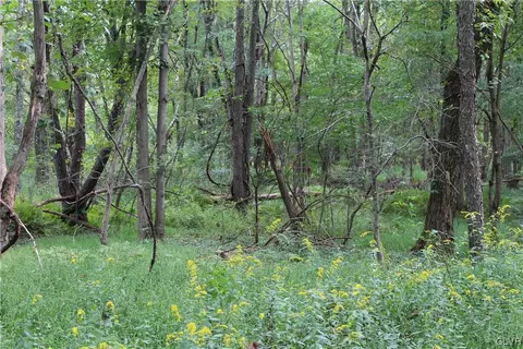 summer valley road LOT 6, West Penn Twp, PA 17960