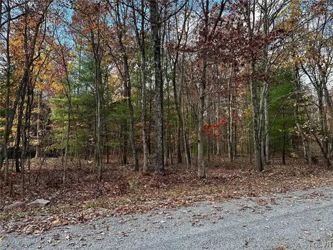 Mill Run Drive, Franklin Twp, PA 18235