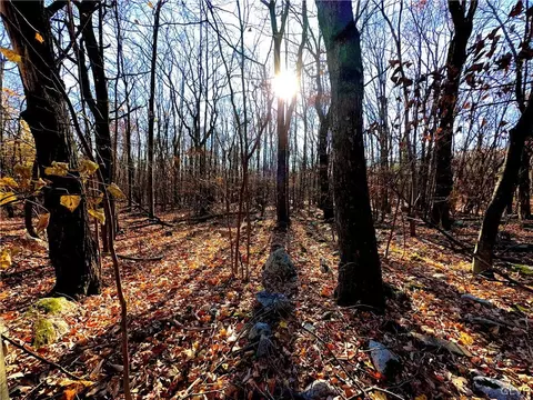 Donalds Lot #L 421 Road, Chestnuthill Twp, PA 18330