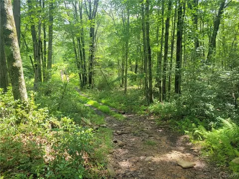Sky View Lot 19 Drive, Pocono Twp, PA 18355