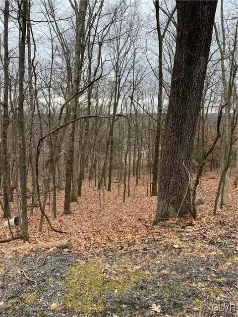 faber circle #36, Pocono Twp, PA 18372