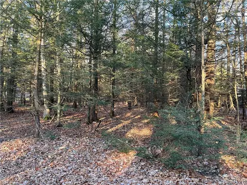 0 Stage Rd, Kidder Twp, PA 18210