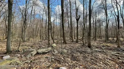 4005 L Ridge Rd, Wayne, PA 18445 photo 3