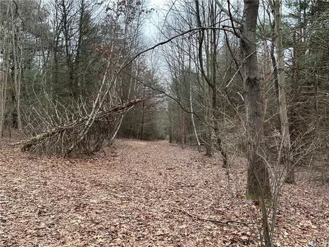 Weir Mountain Road, Eldred Twp, PA 18058