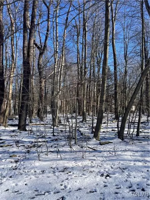 aspen terrace #705, Coolbaugh Twp, PA 18466