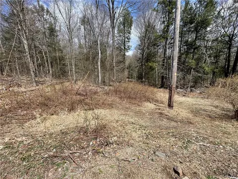 Saint Moritz Drive, Wayne, PA 18445 photo 5