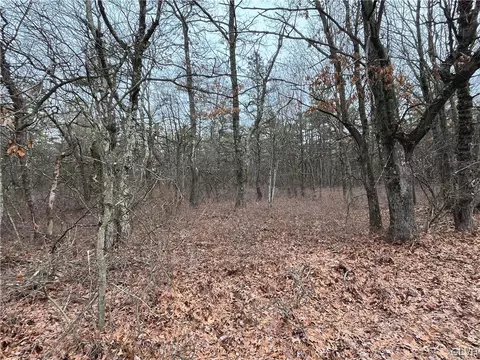Wild Creek Drive, Penn Forest Twp, PA 18229
