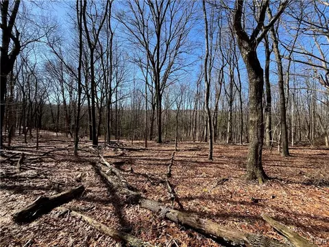 0 Clamtown Rd, West Penn Twp, PA 17960