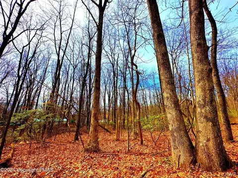 327 Maple Rd, Chestnuthill Twp, PA 18330