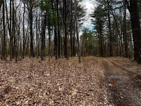 Off Lr 45091, Polk Twp, PA 18058