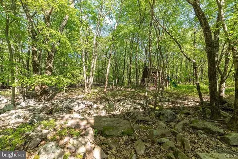 0 Lipo Way, Penn Forest Twp, PA 18210