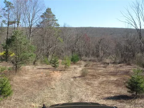 West White Bear Drive, Summit Hill Boro, PA 18250
