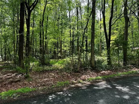 Gumwood Lane, Polk Twp, PA 18058