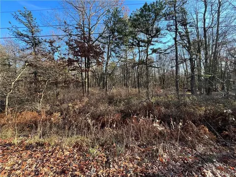 0 Robertson Rd, Penn Forest Twp, PA 18229