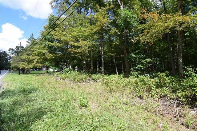 1456 Blue Mountain Dr, Lehigh Twp, PA 18038