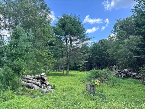 Plantation Drive, Franklin Twp, PA 18235