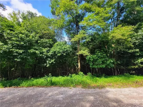 Whitetail Crossing Road, Walker Twp, PA 18252