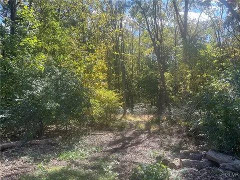 Sycamore Drive, Lehigh Twp, PA 18067