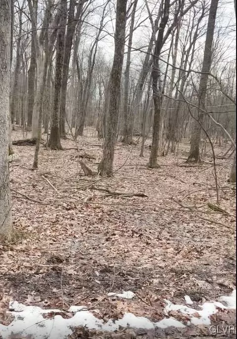 traverse road #708, Pocono Twp, PA 18332